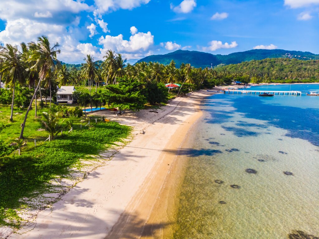 Aerial view of beautiful tropical beach and sea with palm and other tree in koh samui island for travel and vacation